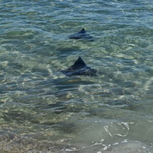 2.5 Day Chandeleur Islands Fishing Trip